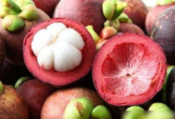 山竹视频,揭秘自然奇观背后的科学奥秘