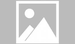 明星混娱乐圈是为了吃瓜,揭秘吃瓜背后的真相与追求